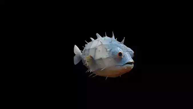 3d Render Vibrant Pufferfish Swim Playfully Underwater 3D model