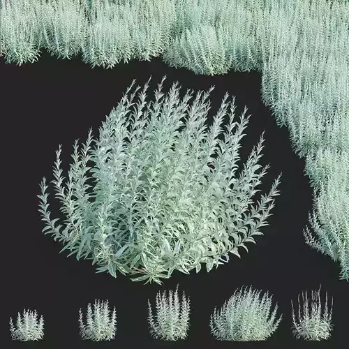 Artemisia flower 3D model