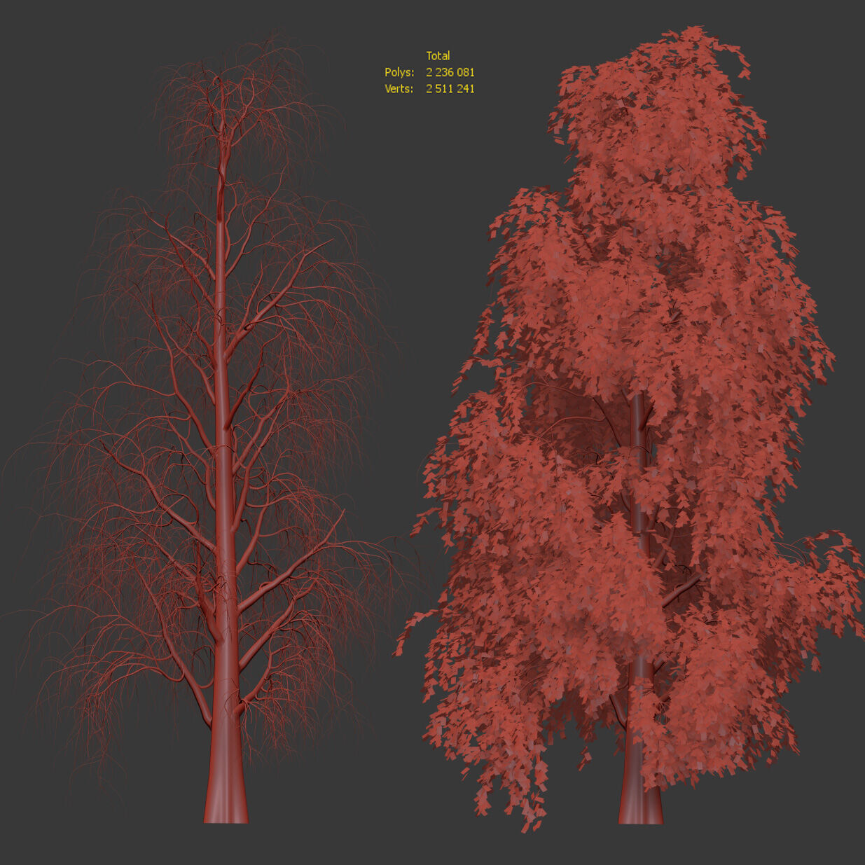 Birch with fallen leaves 3D model_3