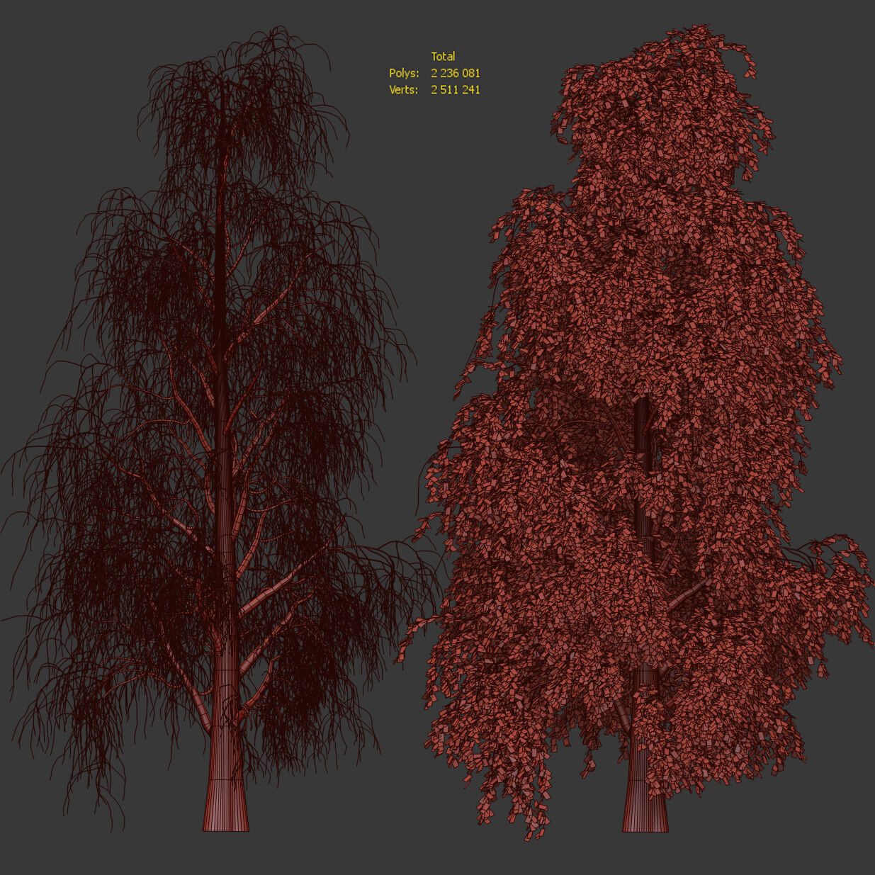 Birch with fallen leaves 3D model_4