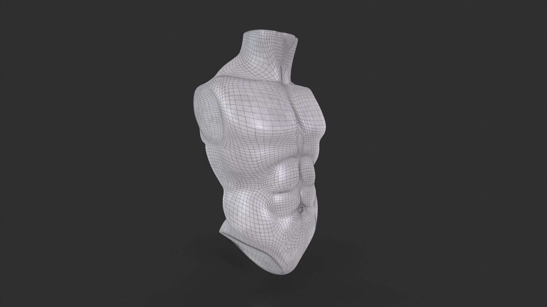 Male Torso Base Mesh Low-poly 3D model_10