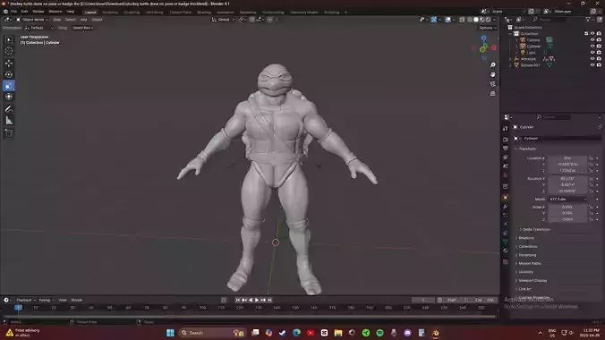 Donatello ninja turtle