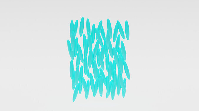 Nematic phase of liquid crystals 3D model