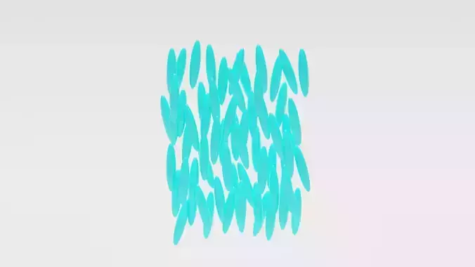 Nematic phase of liquid crystals