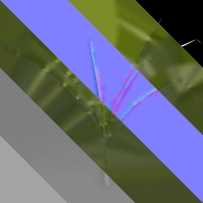 Anydrafts Miscanthus sinensis zebrinus Atlas 02 Texture_8