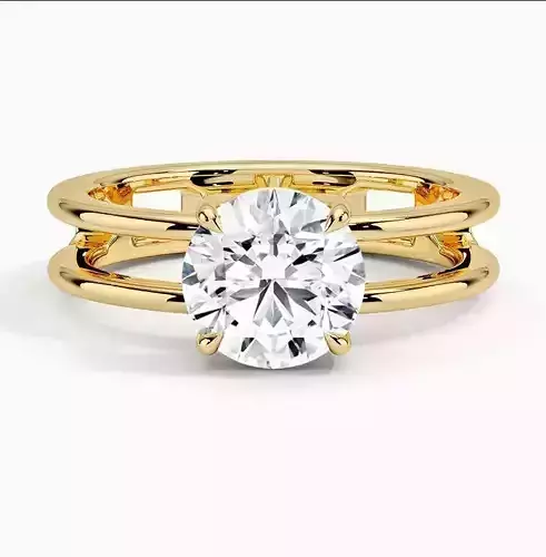 Double Band Solitaire Ring 01