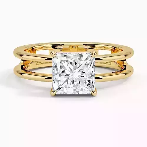 Double Band Solitaire Ring 03