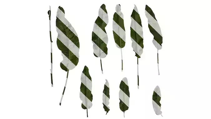 Anydrafts Rumex crispus Leaf 02