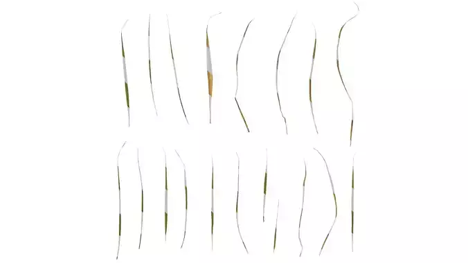 Anydrafts Setaria viridis Leaf 03