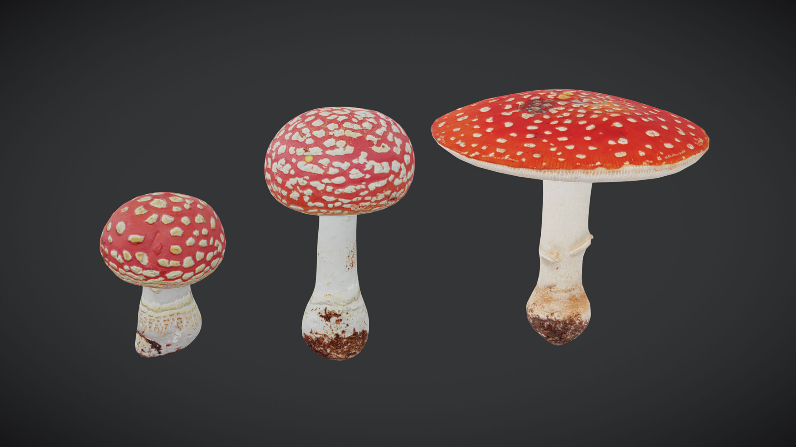 Amanita Mushroom Low Poly Low-poly 3D model_1