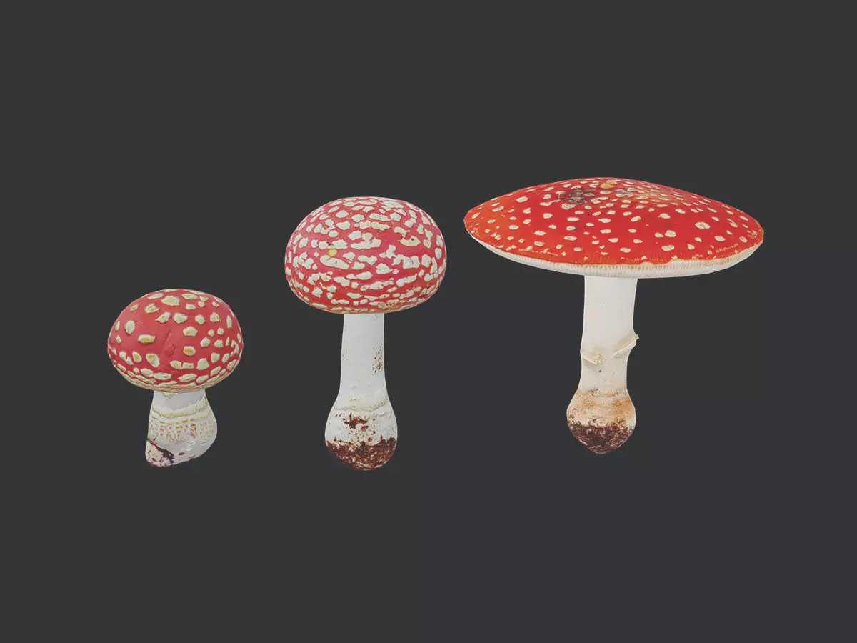 Amanita Mushroom Low Poly Low-poly 3D model_0
