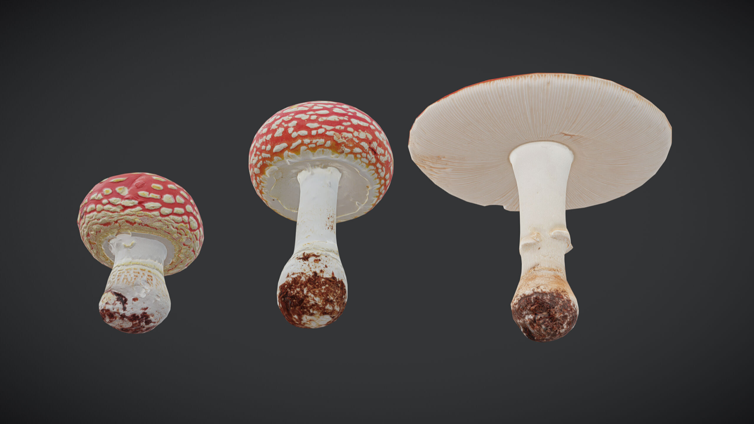 Amanita Mushroom Low Poly Low-poly 3D model_3