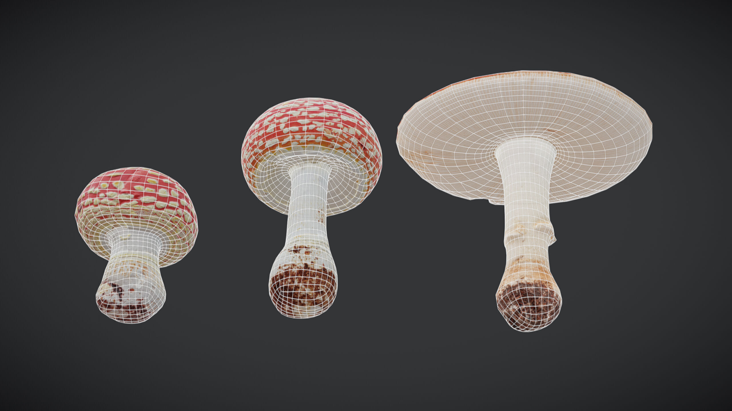 Amanita Mushroom Low Poly Low-poly 3D model_4