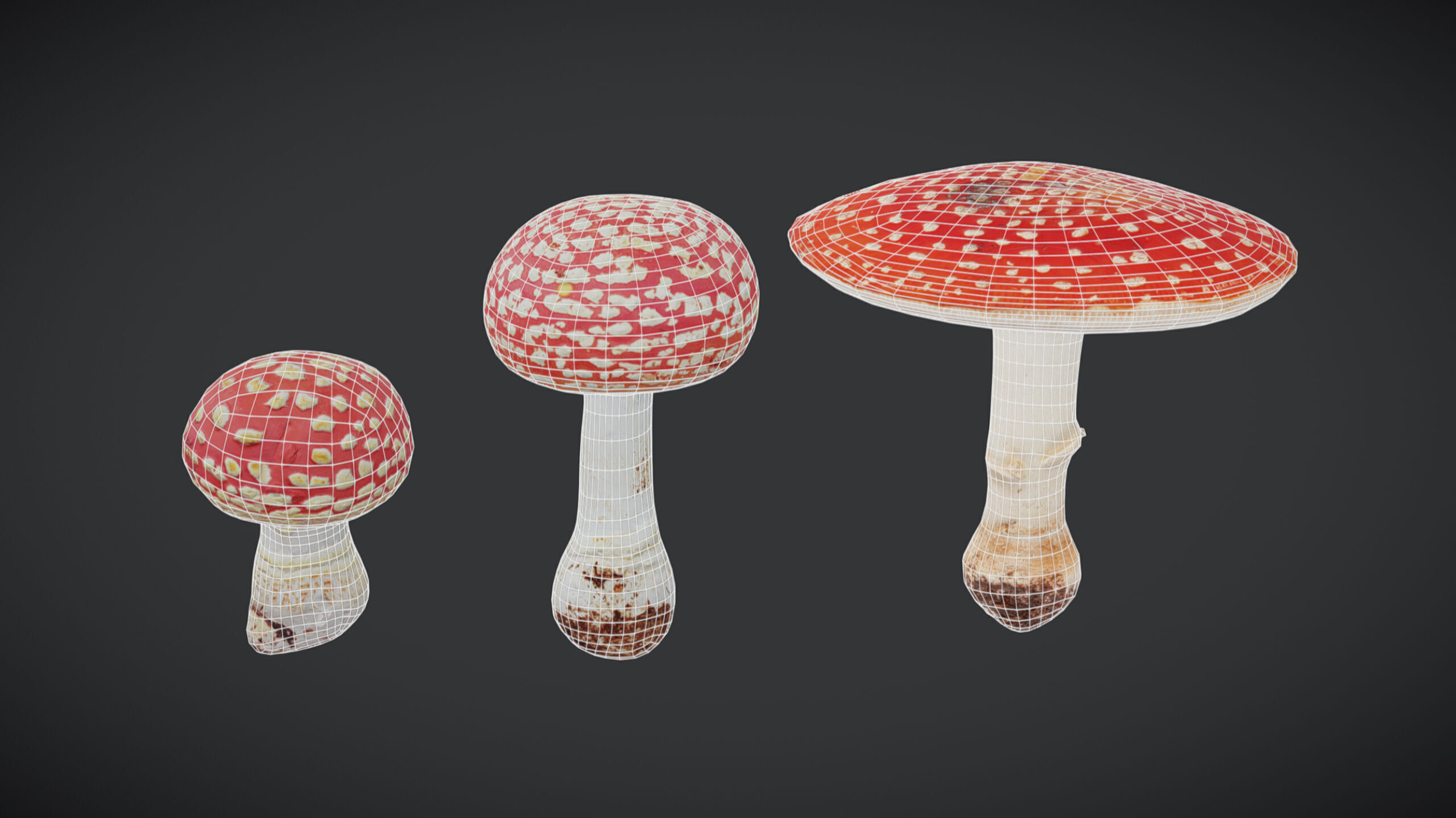 Amanita Mushroom Low Poly Low-poly 3D model_2