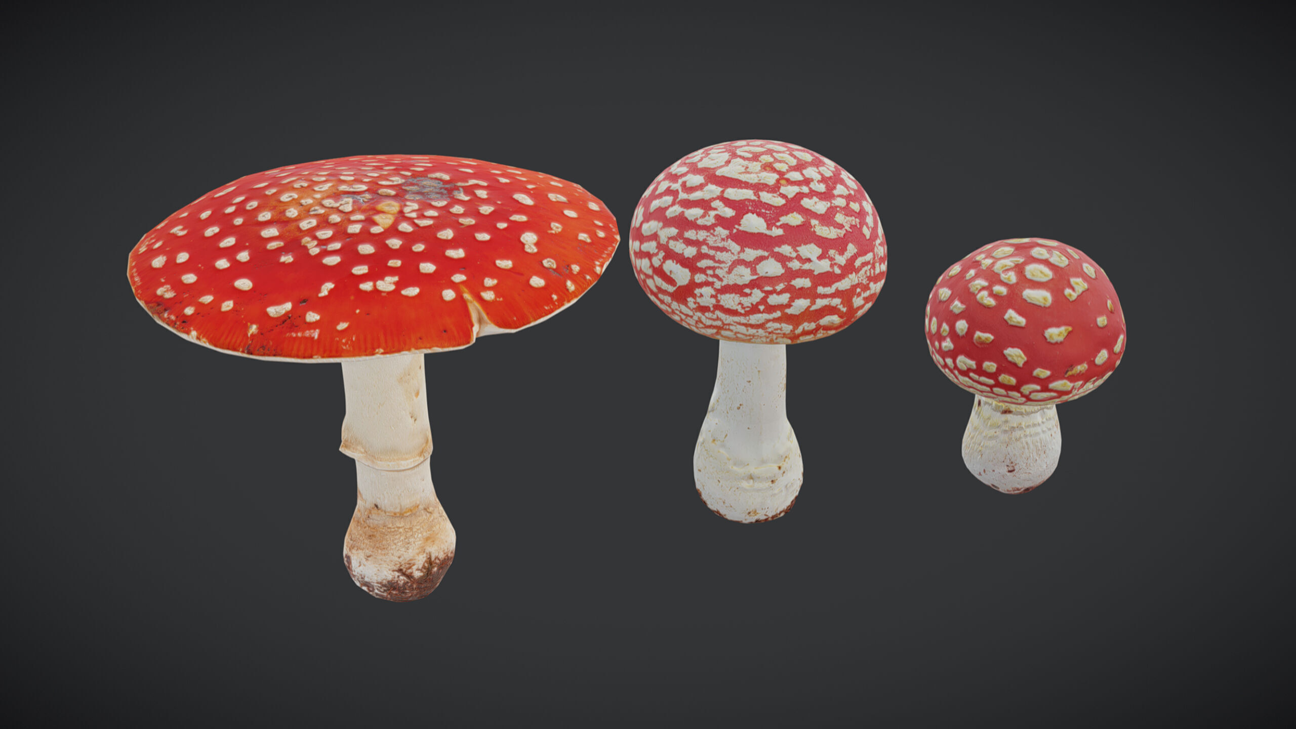 Amanita Mushroom Low Poly Low-poly 3D model_5