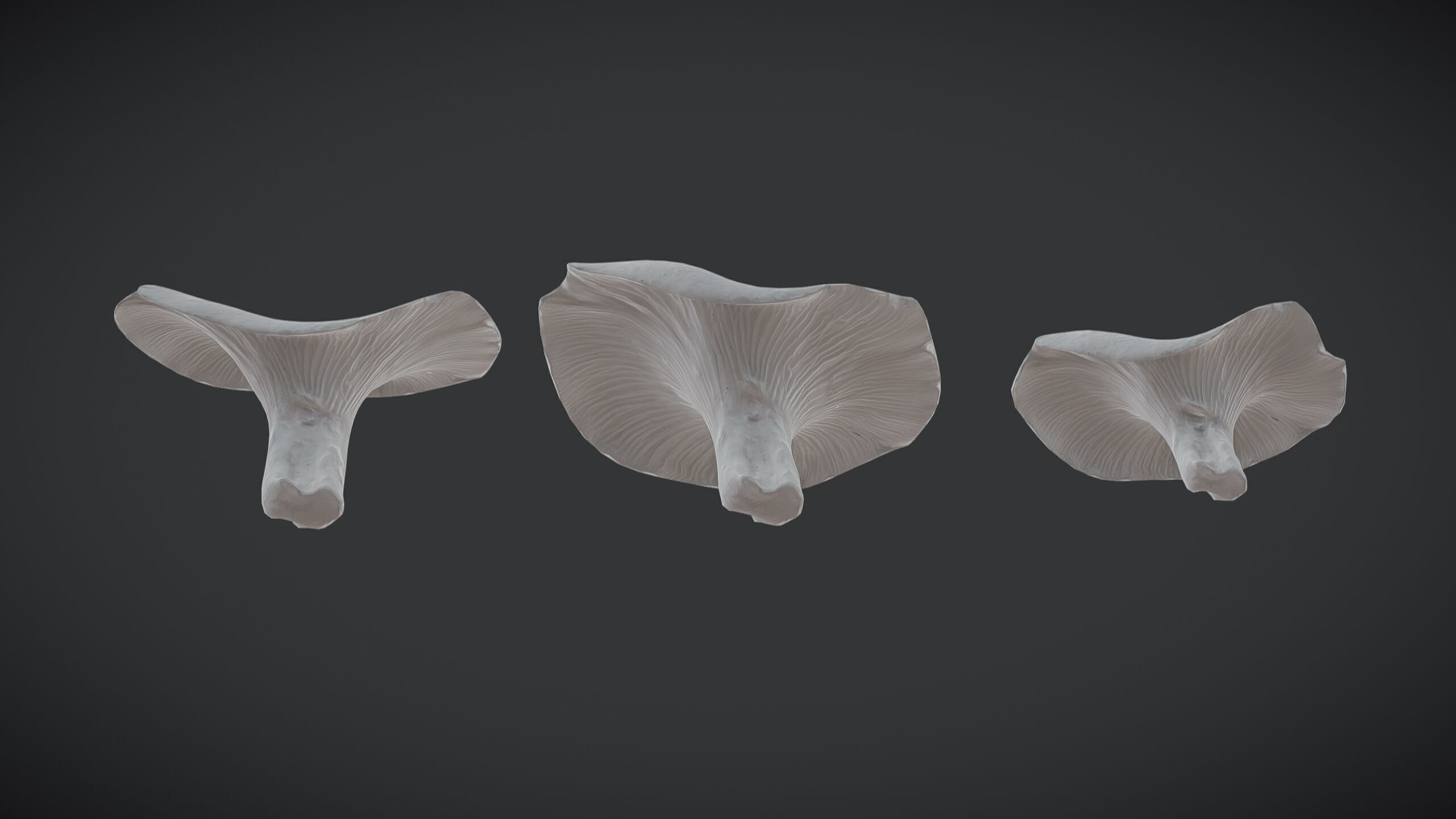 Angels Mushroom Low Poly Low-poly 3D model_4