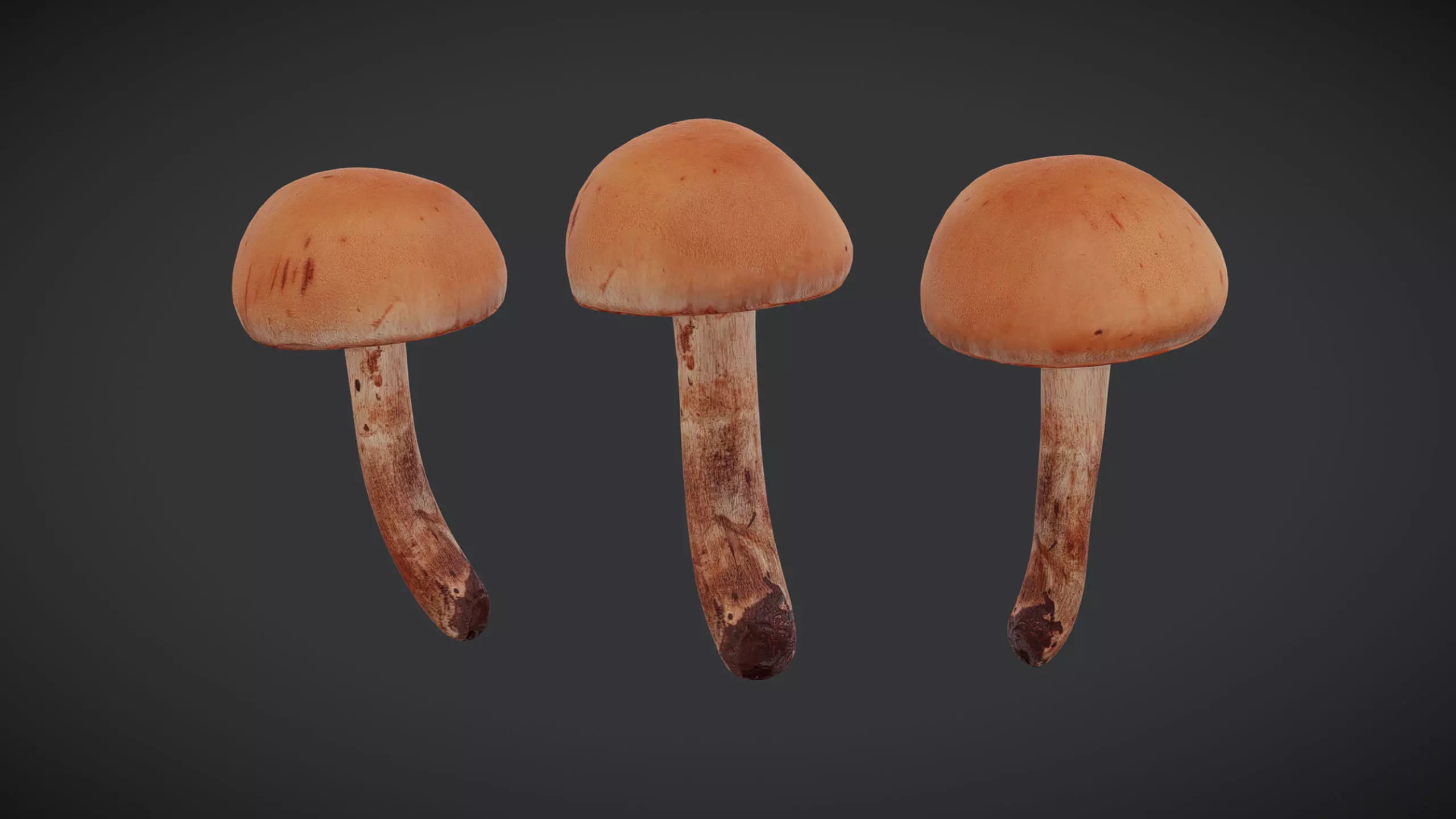 Brown Cap Mushroom Low Poly Low-poly 3D model_0