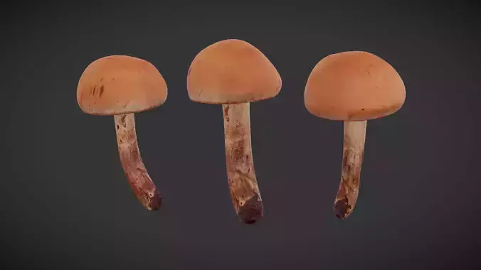 Brown Cap Mushroom Low Poly Low-poly 3D model Brown Cap Mushroom Low Poly Low-poly 3D model