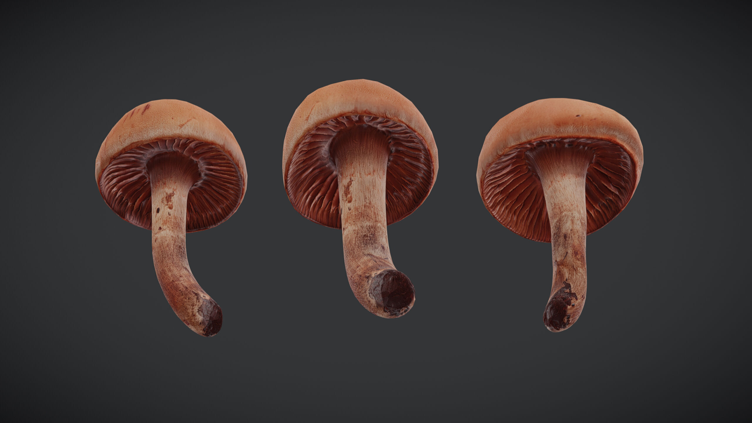 Brown Cap Mushroom Low Poly Low-poly 3D model_3