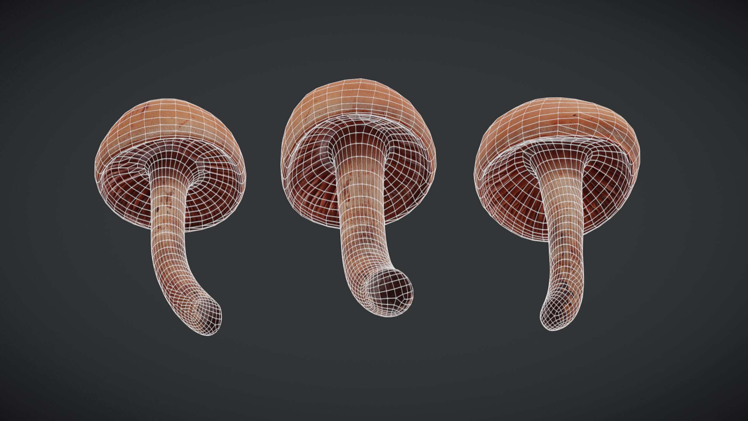 Brown Cap Mushroom Low Poly Low-poly 3D model_4