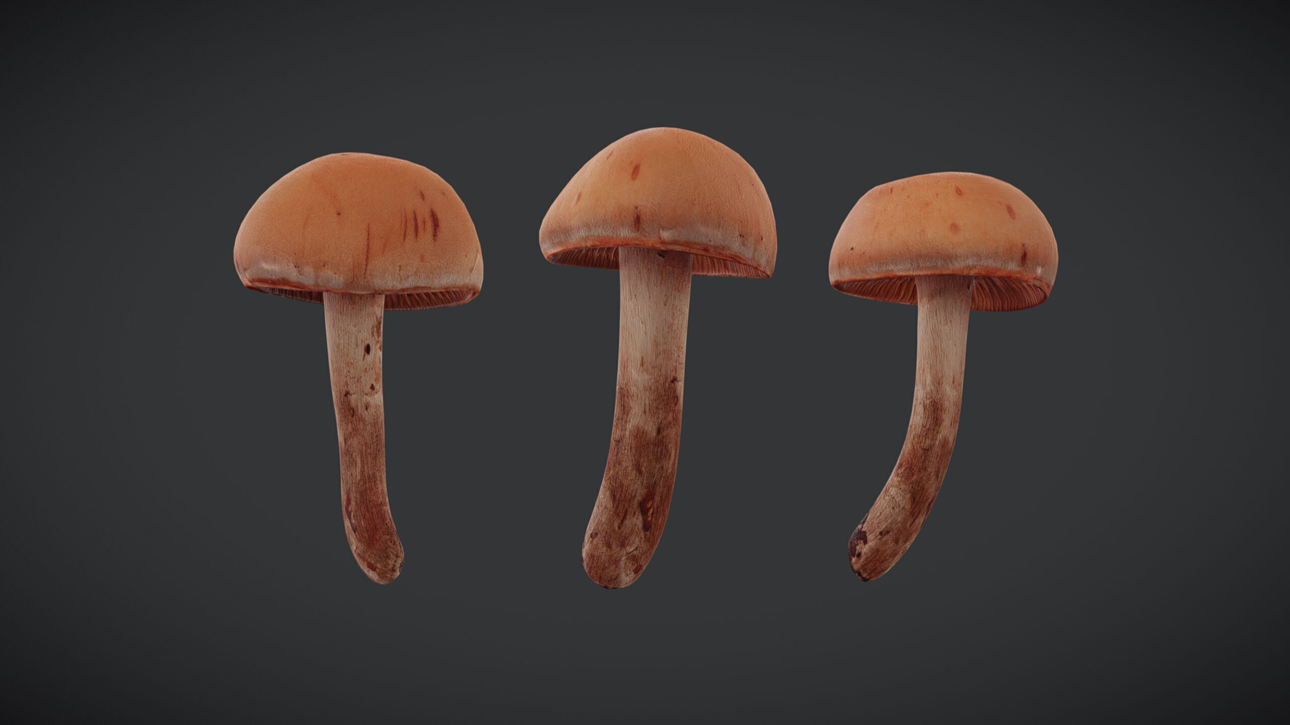 Brown Cap Mushroom Low Poly Low-poly 3D model_5