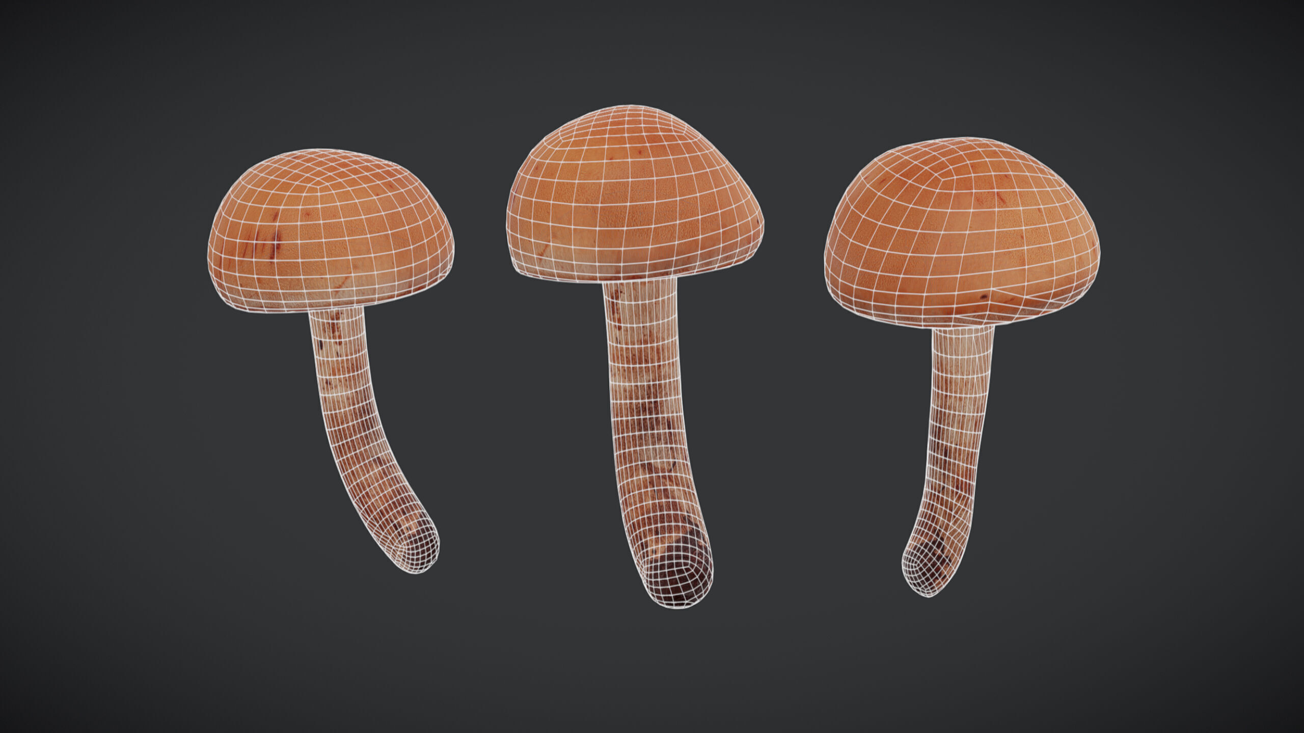 Brown Cap Mushroom Low Poly Low-poly 3D model_1