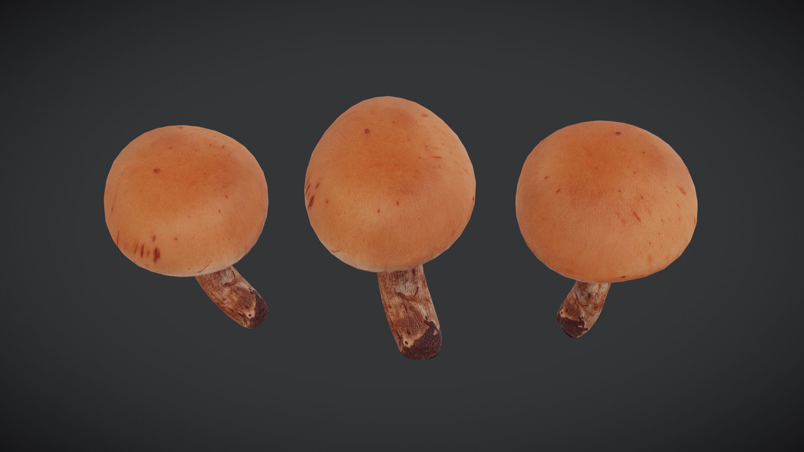 Brown Cap Mushroom Low Poly Low-poly 3D model_2