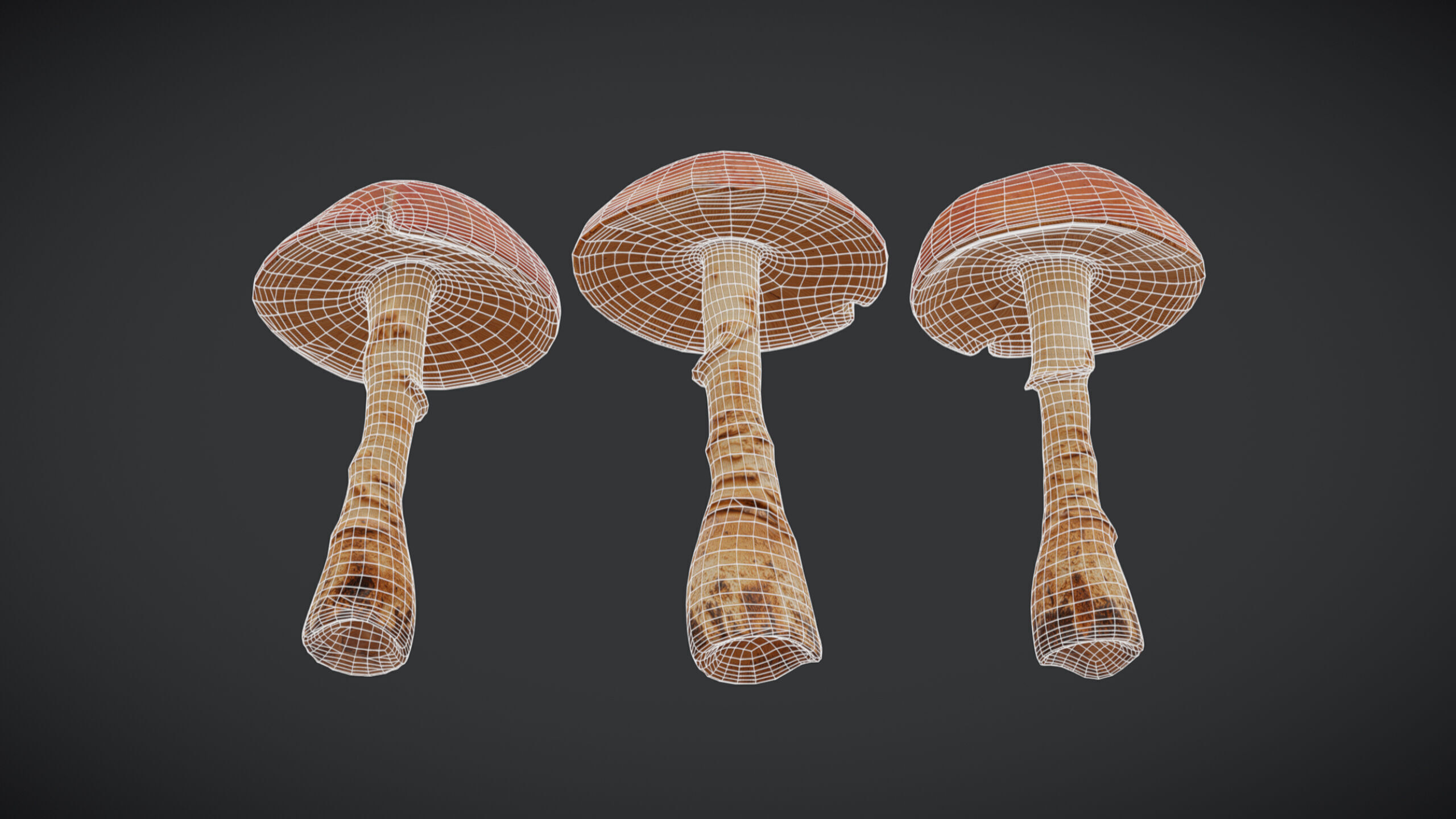 Caesars Mushroom Low Poly Low-poly 3D model_3