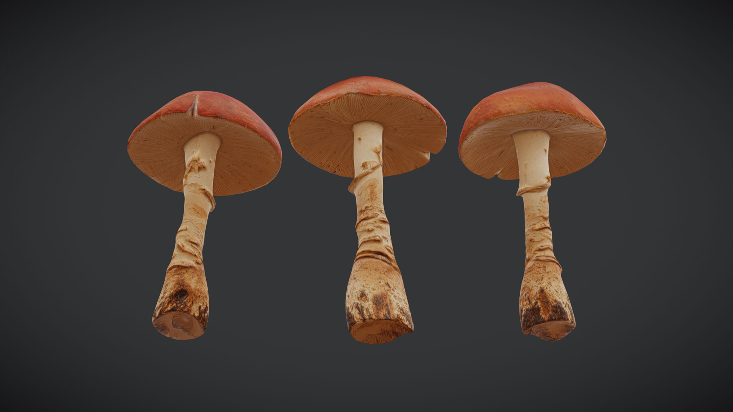 Caesars Mushroom Low Poly Low-poly 3D model_2