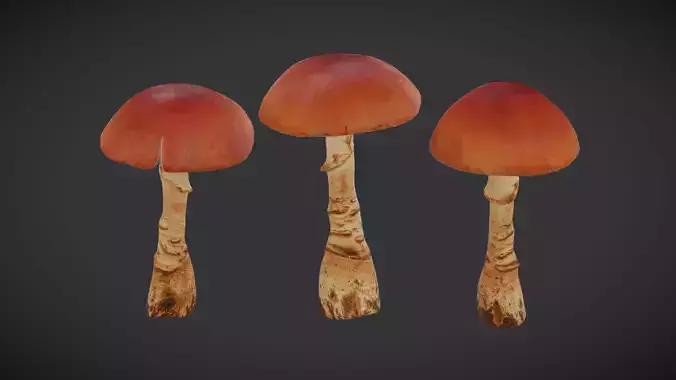 Caesars Mushroom Low Poly