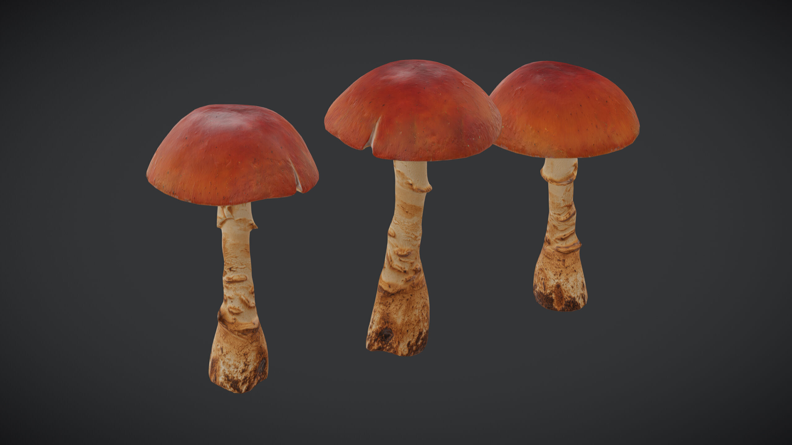 Caesars Mushroom Low Poly Low-poly 3D model_4