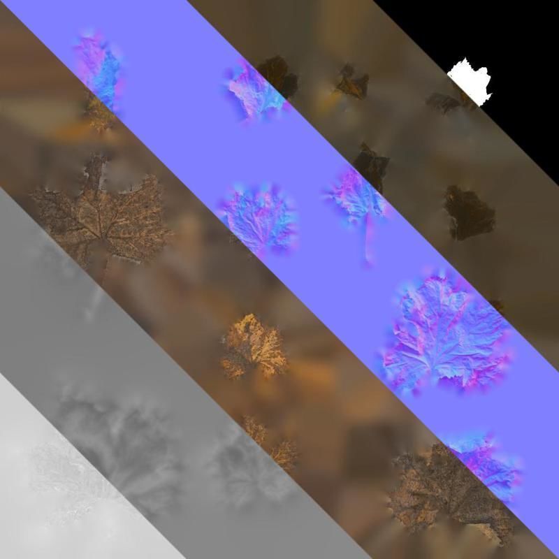 Anydrafts Vitis vinifera Leaf 14 Texture_8