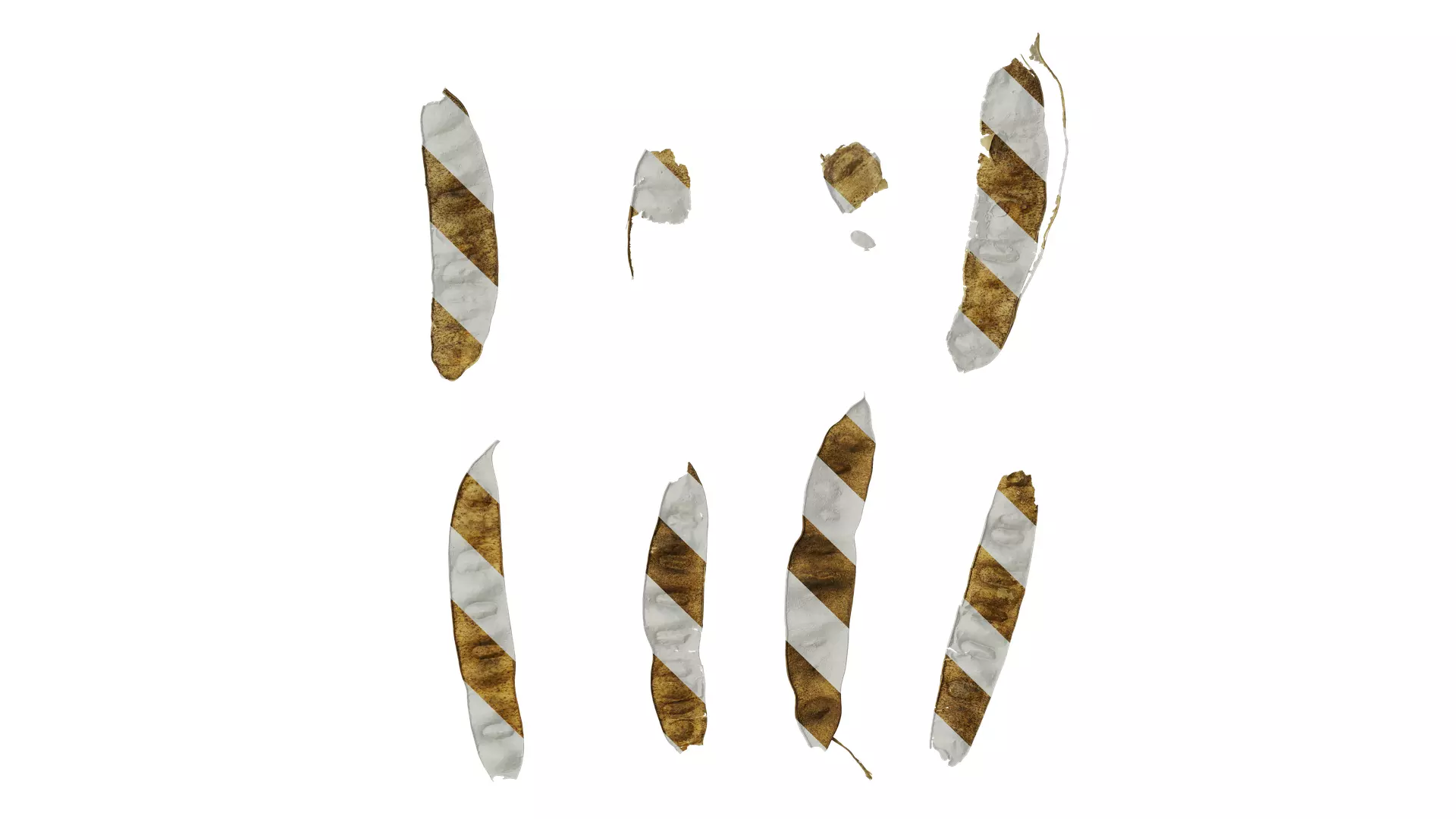 Anydrafts Albizia lebbeck Fruit 02 Texture_0