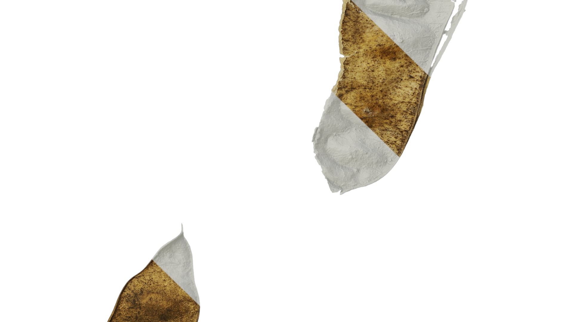 Anydrafts Albizia lebbeck Fruit 02 Texture_4