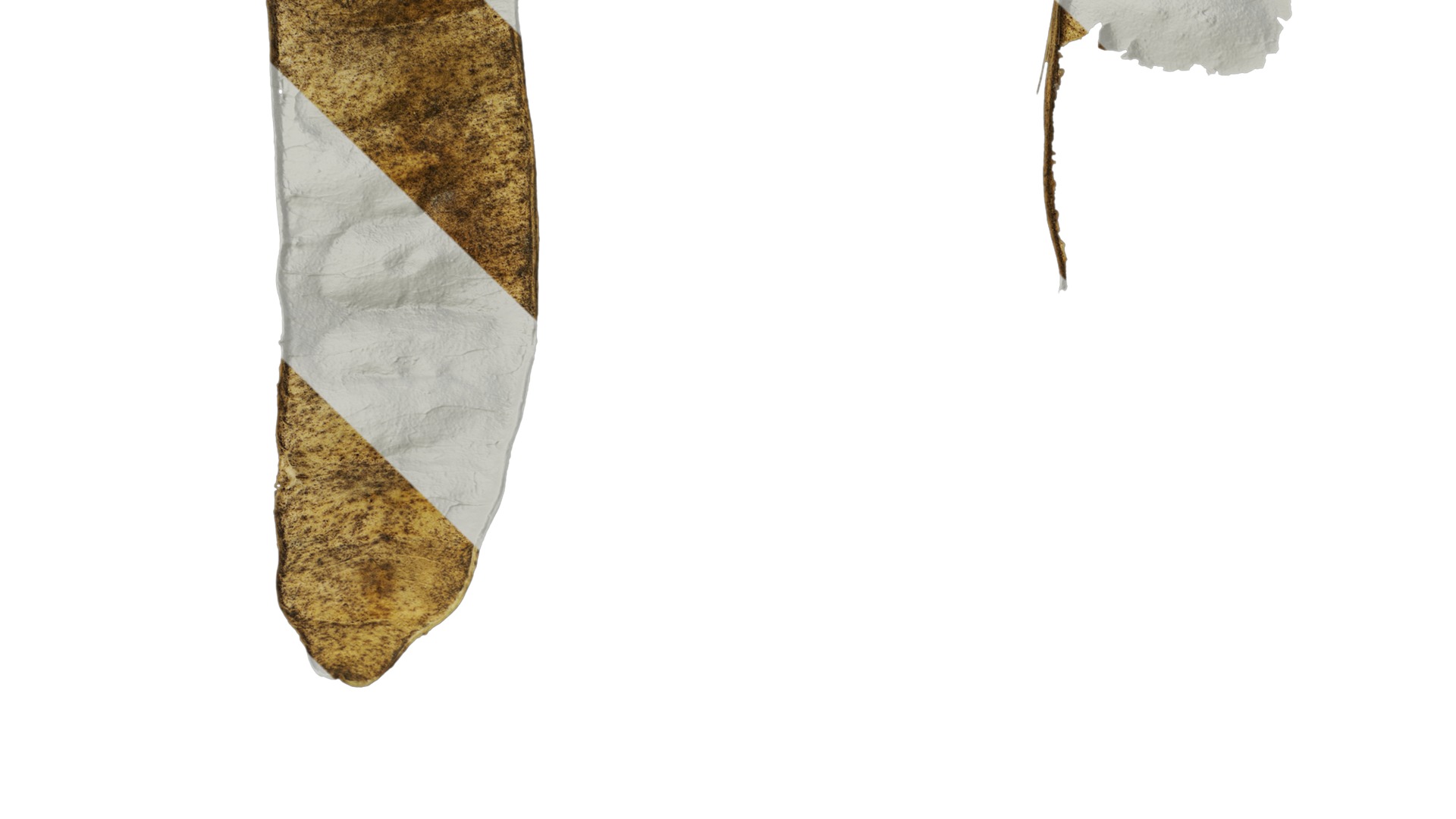 Anydrafts Albizia lebbeck Fruit 02 Texture_3