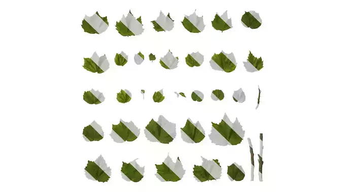 Anydrafts Hibiscus mutabilis Leaf 03