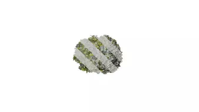 Anydrafts Hydrangea macrophylla Atlas 05