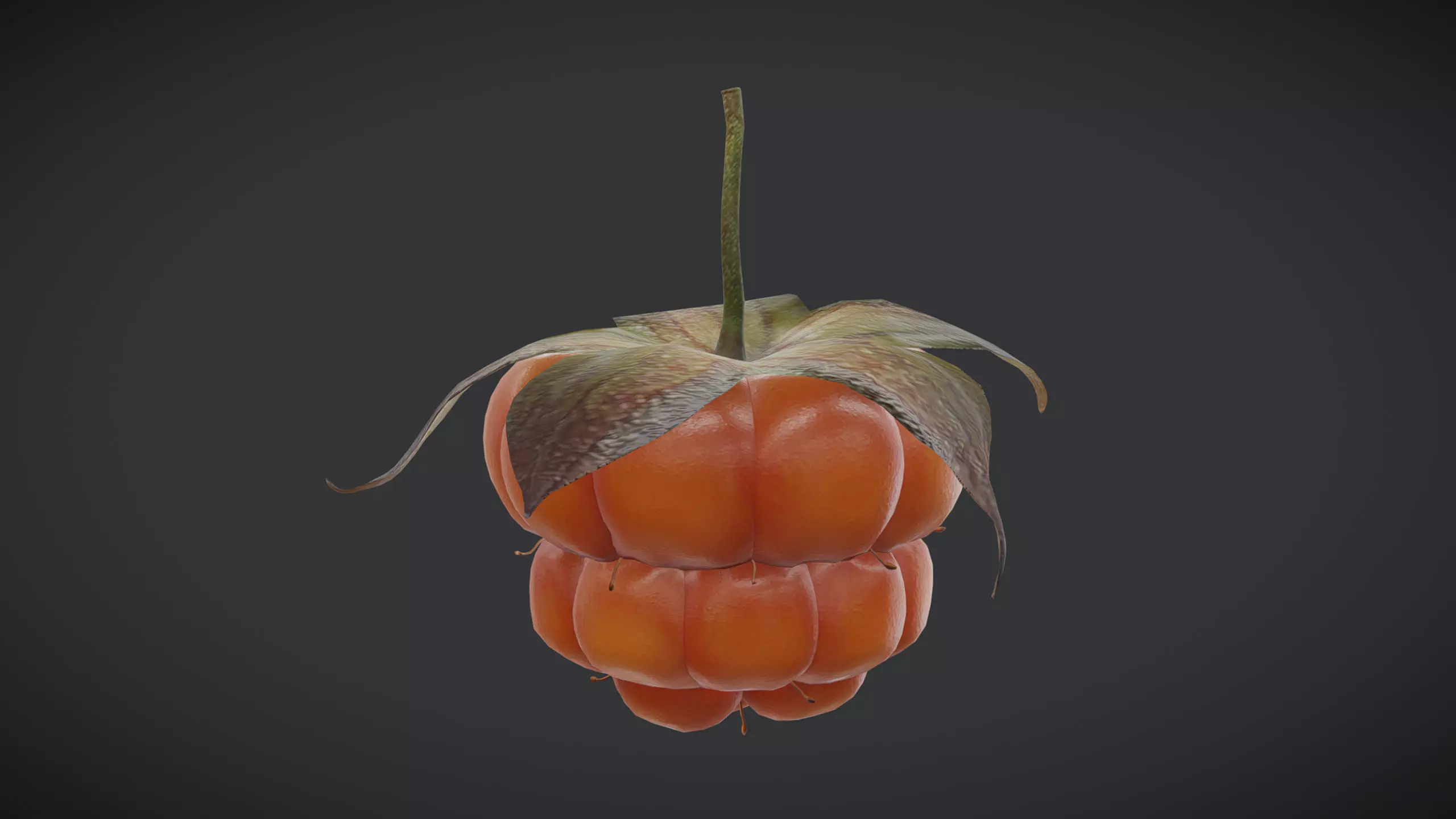Fruit Cloudberry Low Poly Low-poly 3D model_0