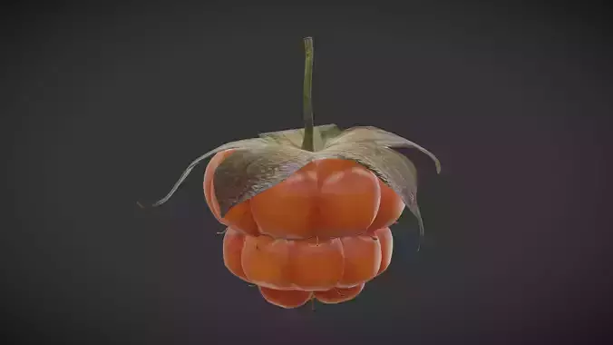 Fruit Cloudberry Low Poly