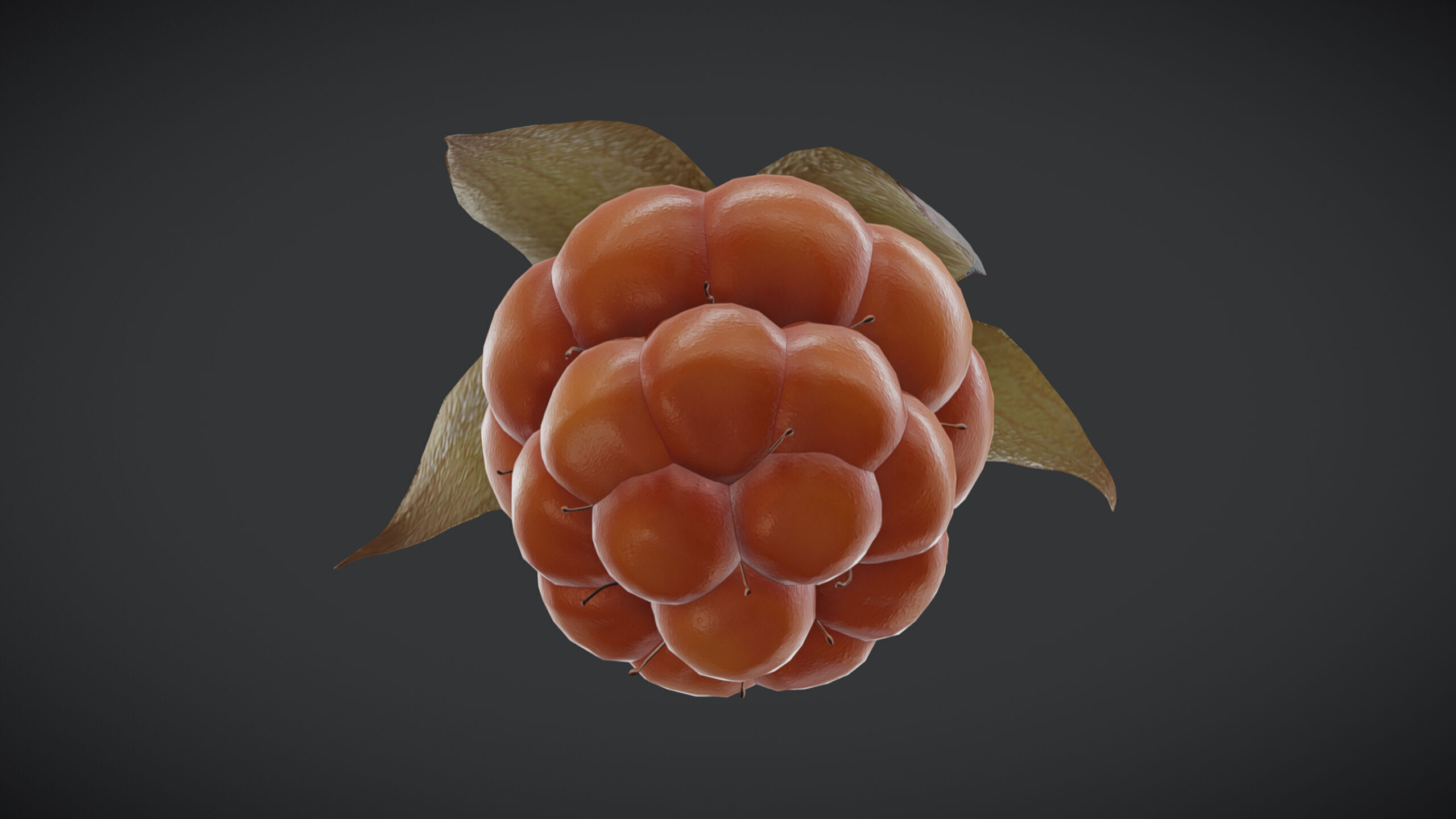 Fruit Cloudberry Low Poly Low-poly 3D model_5