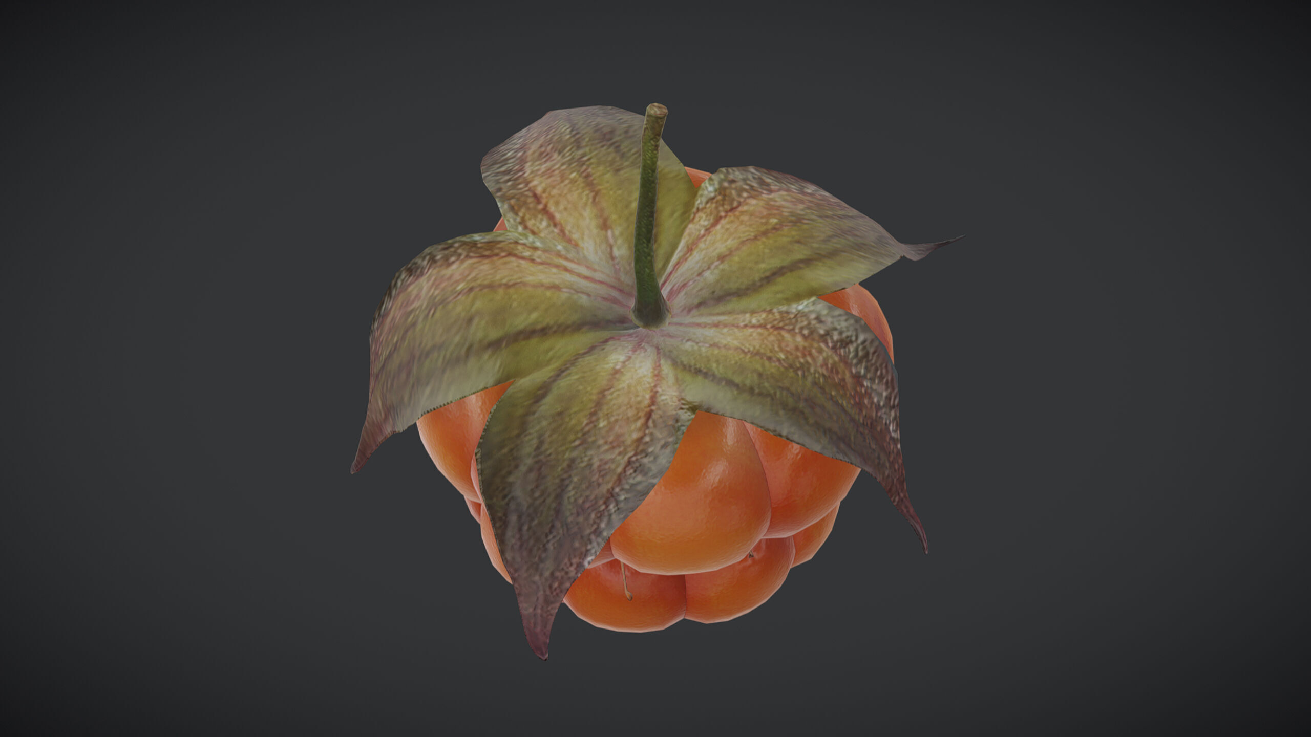 Fruit Cloudberry Low Poly Low-poly 3D model_4