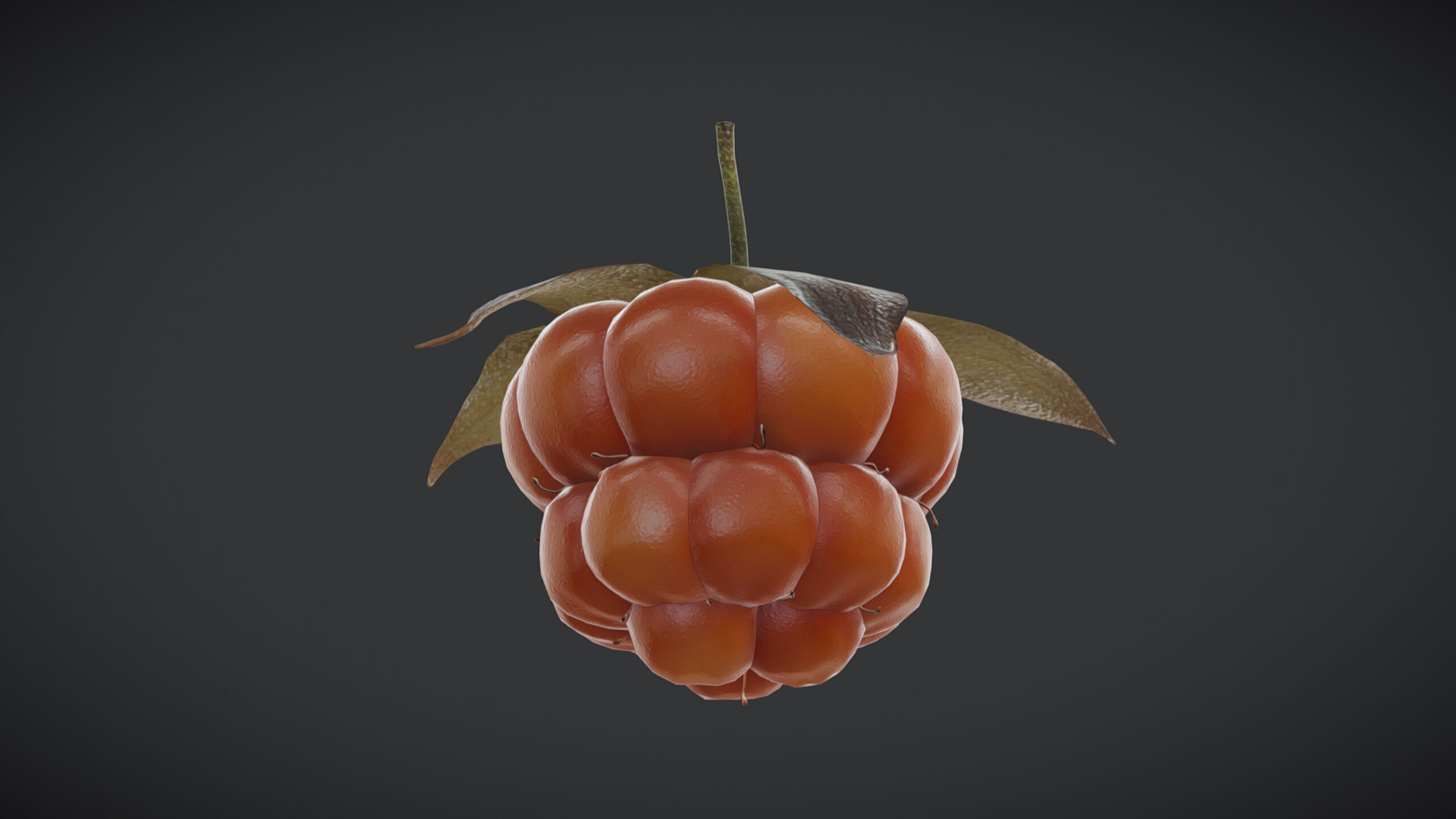 Fruit Cloudberry Low Poly Low-poly 3D model_2