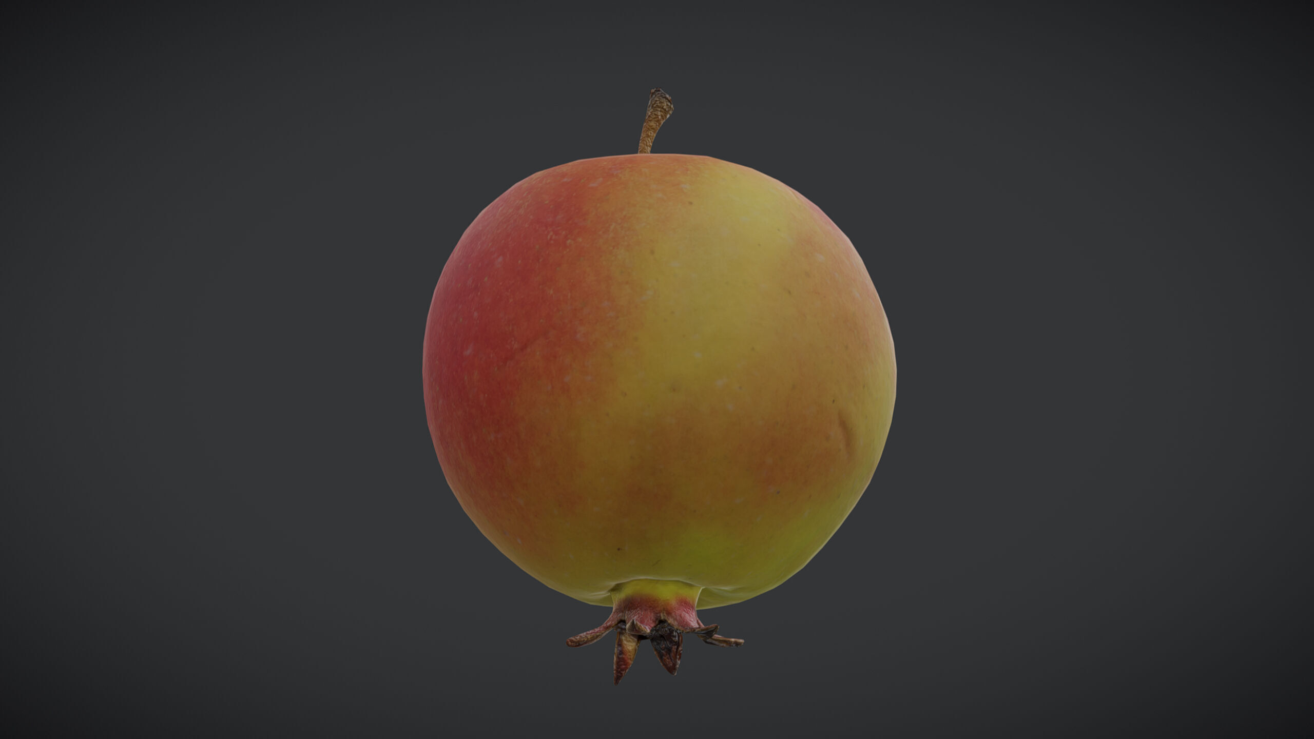 Fruit Crab Apple Low Poly Low-poly 3D model_2