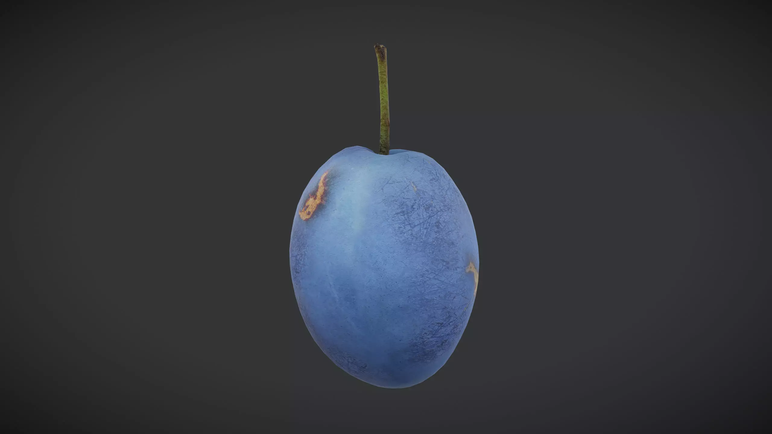 Fruit Damson Low Poly Low-poly 3D model_0