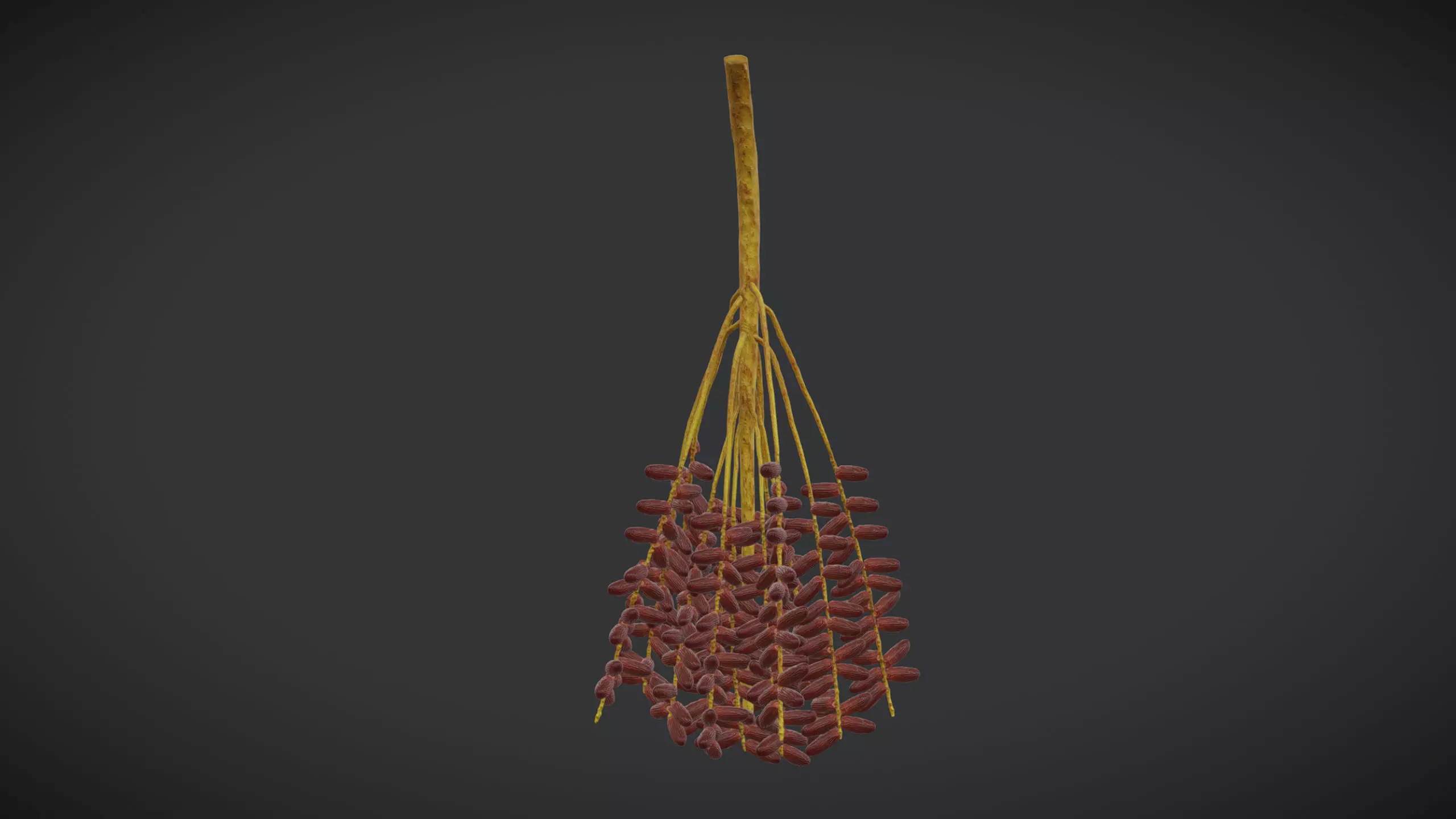 Fruit Date Palm PBR Realistic Low-poly 3D model_0