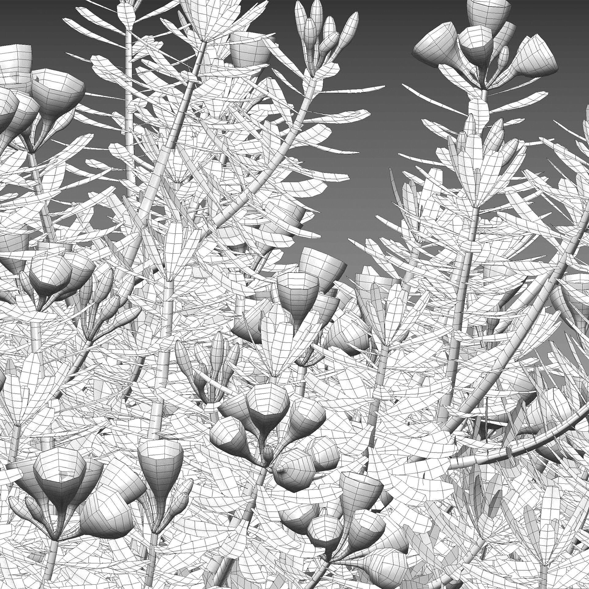 Daphne x transatlantica Blafra - Eternal Fragrance 01 3D model_5