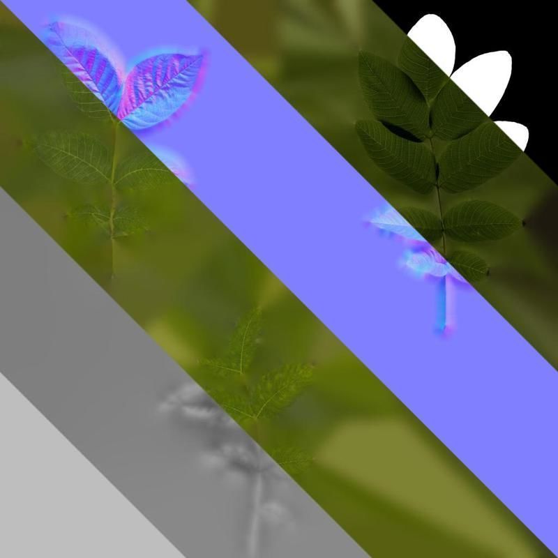 Anydrafts Juglans regia Atlas 01 Texture_8