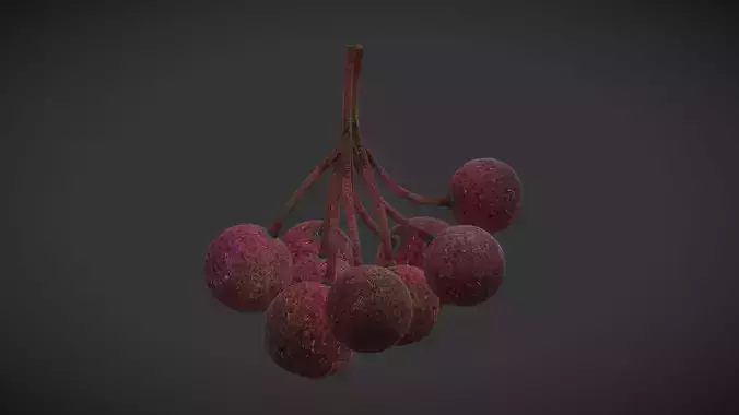 Fruit Grewia Asiatica Low Poly