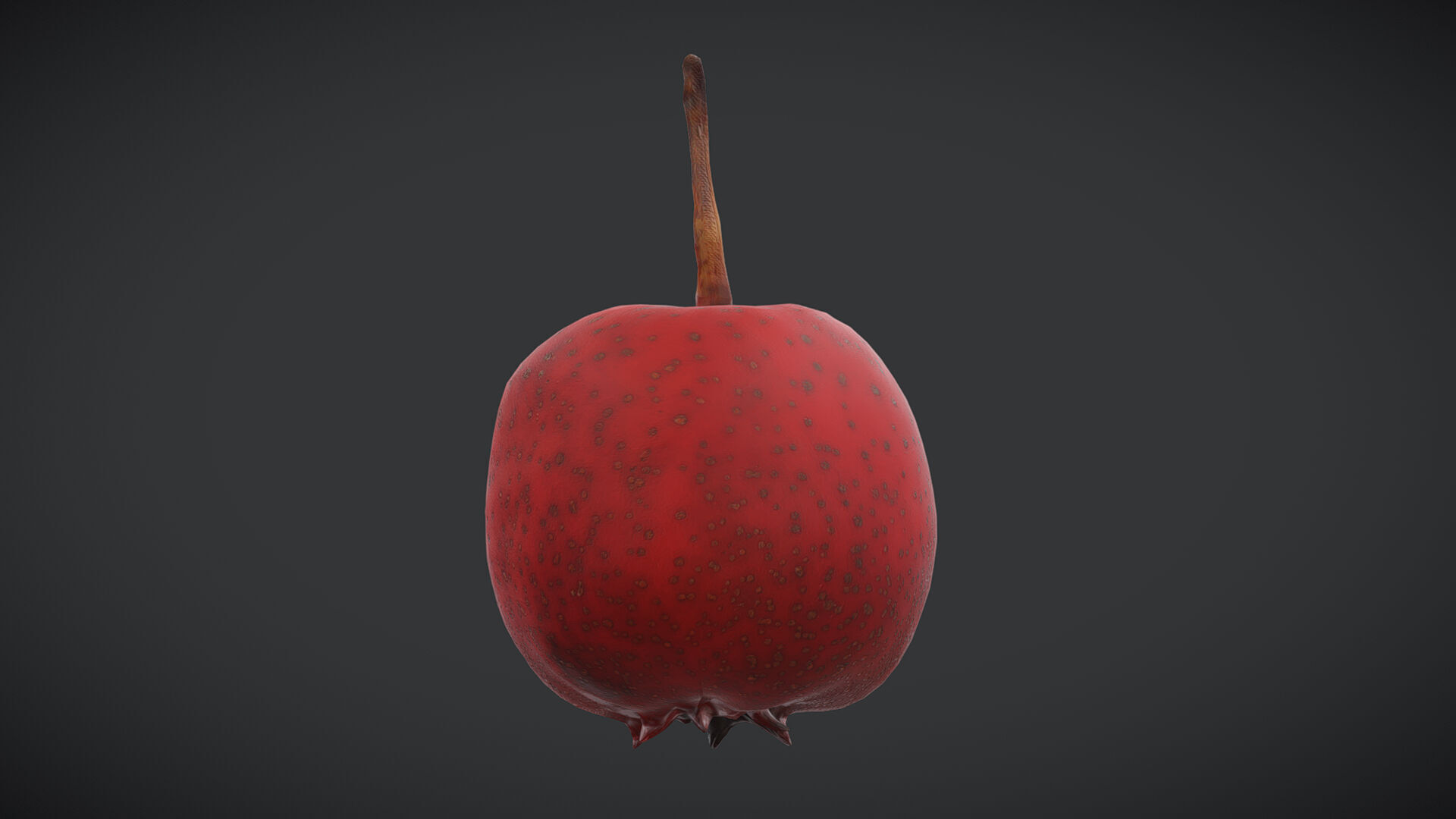Fruit Hawthorn Low Poly Low-poly 3D model_4