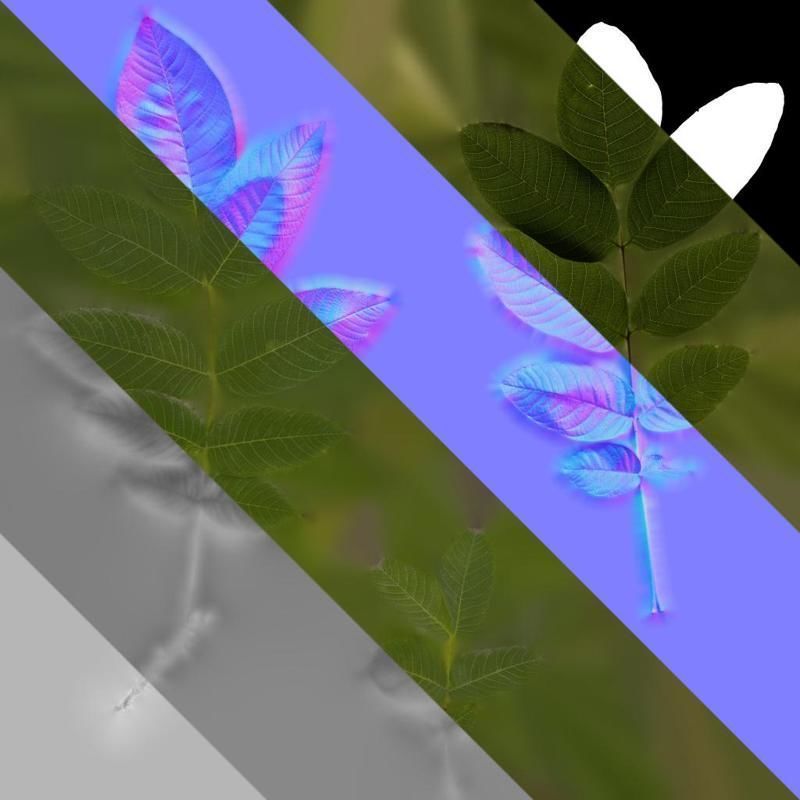 Anydrafts Juglans regia Atlas 02 Texture_8